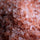 Salts - TheSoapery